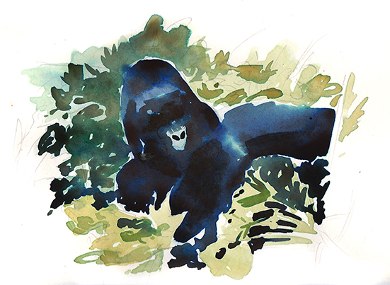Virunga_Mountain_Gorilla