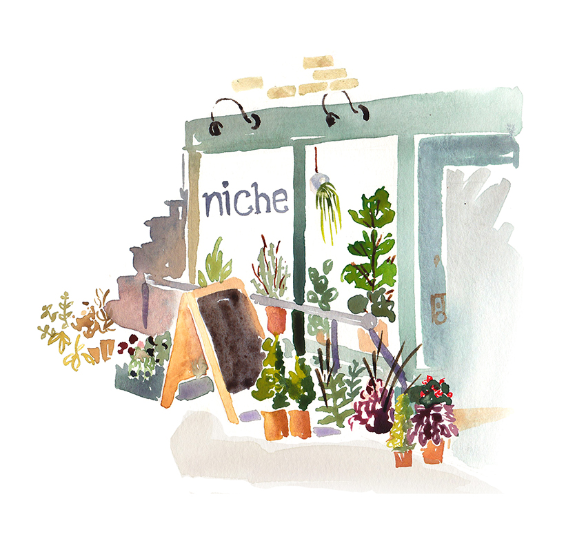 Niche_Boston