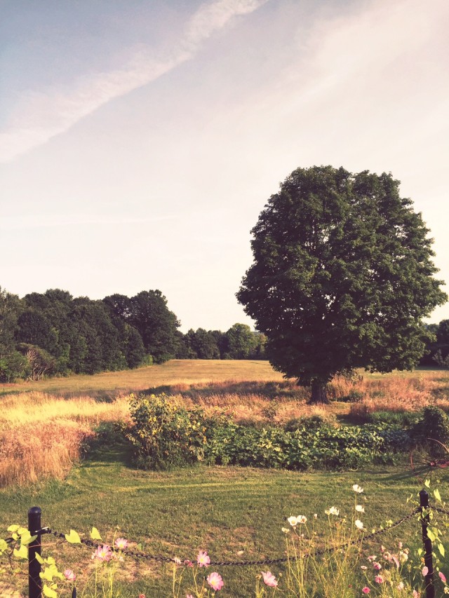 maine_barn_wedding