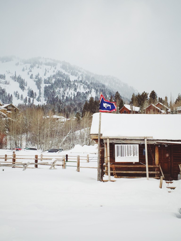Franco_snowshapes_jackson_hole_WY